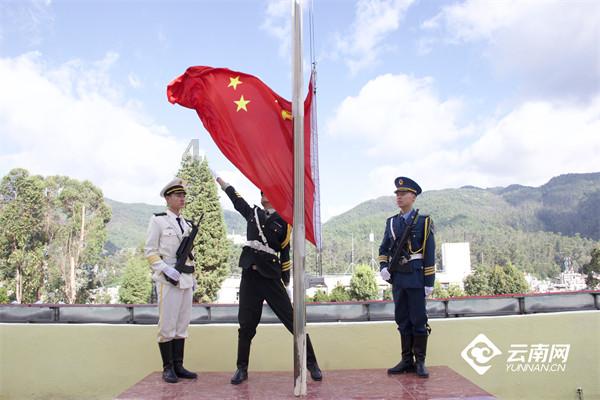 挖野菜的梗是什么意思