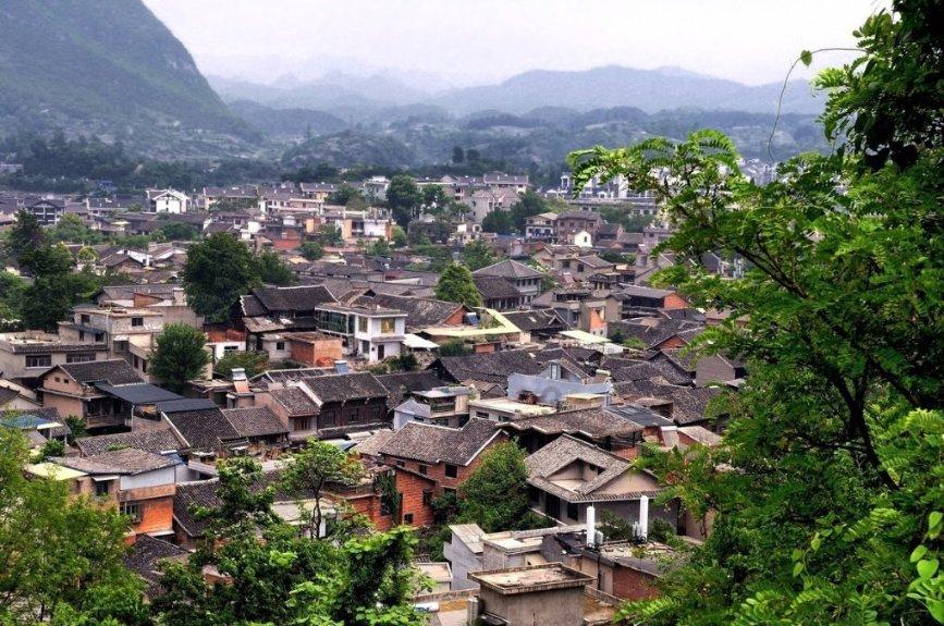 动物帮帮忙保卫家园